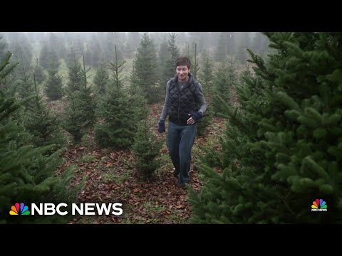 White House Christmas tree comes from North Carolina area hit hard by hurricane