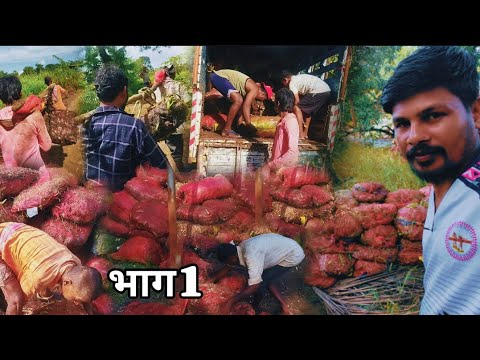 ‌30 टन माल Load करायला 35 हजार रू खर्च आला🥺16 लेबर 1200 से गोनी 50kg Hard work |Marathi Vlog Village