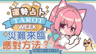 【一周運勢】災難來臨時的錦囊妙計？【塔羅占卜】【櫻野露】