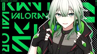 【valorant】テスト前日駆け込み復習ヴァロ