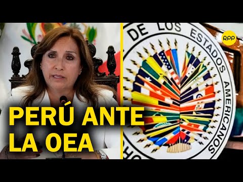 Imagen del Perú en la OEA: El trabajo que tenemos es llevar la verdad