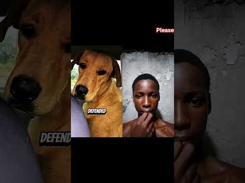 How they died shocked USA #facts #animals #foryou #shorts #viral #trending #jesus