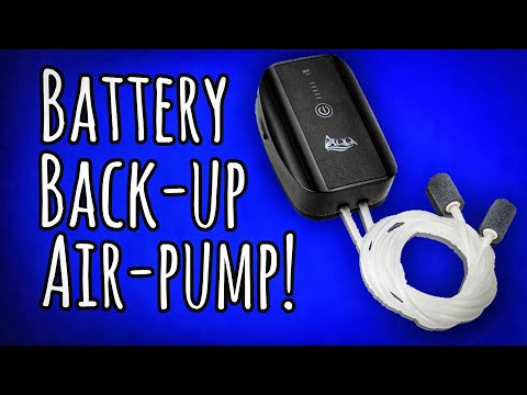 AQQA Lithium Battery Air Pump_ For When the Power  The Aqqa lithium battery backup air pump might just be the perfect solution for when the power goes 
