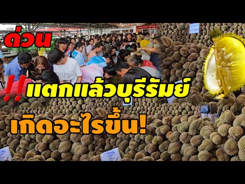 ทุเรียนหมอนทองราคานี้คนแห่มาชื