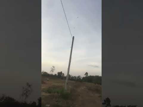 Thả diều buổi chiều