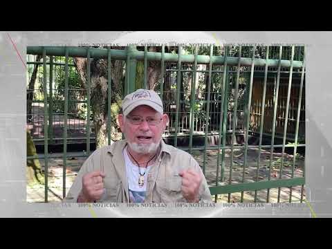 Conmovedora despedida de veterinario que cuidó a un chimpancé en Nicaragua