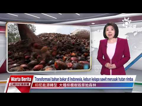 公視印泰越語新聞 PTS ITV NEWS TransformasienergiIndonesia