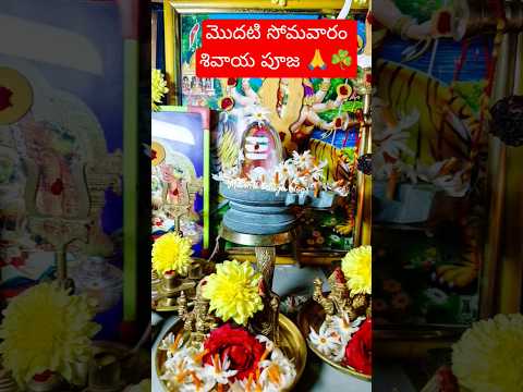 కార్తీక సోమవారం పూజ 🙏☘️🙇♀️#trending #telugu #ytshorts #viral #karthikamasam#somavaram #siva#sivaya