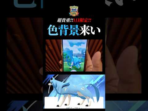 【GOFestグローバル】色違いを出すだけでも大変なのに背景までガチャすのやめてくれｗｗｗ#ポケモンgo #色背景 #ザシアン #shorts