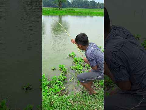 Village Amazing Boy Fishing With Hook #fishing #bestfishing #bigfish #shorts