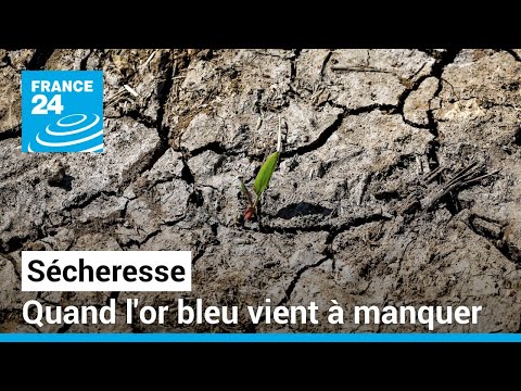 Etat des lieux de la sécheresse dans le monde • FRANCE 24
