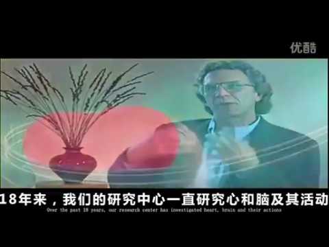 2012——希望的传信（中英字幕）