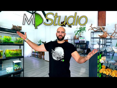 Welcome To The NEW MD Studio!! (massive progress!!)