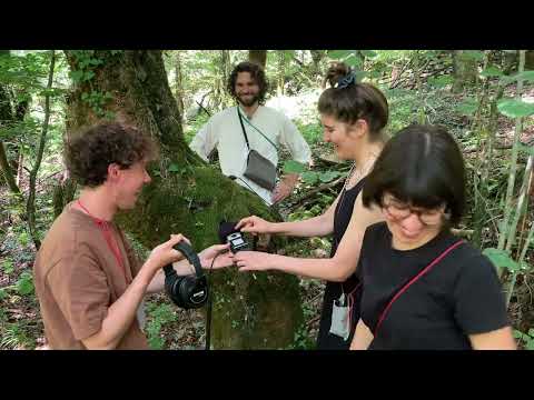 Usje se je dalo - sezona obiranja zgodb - GO! 2025