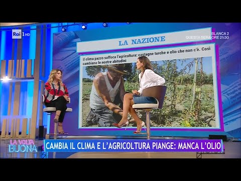 Cambia il clima e l'agricoltura piange: manca l'olio - La Volta Buona 19/10/2023