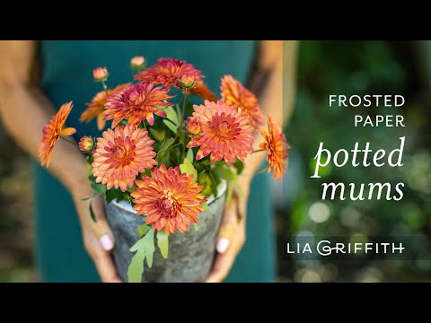 DIY Mums Made with Frosted Paper