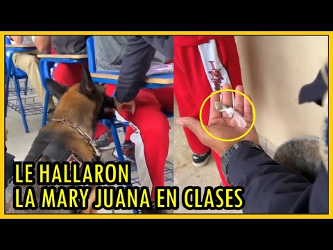 Encuentran porción de M4R1HU4N4 a estudiante | APES y las quejas de siempre