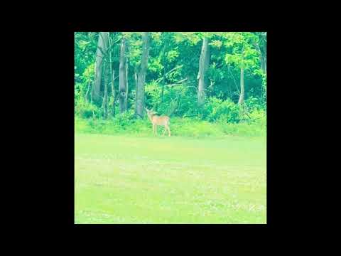 #ilovenature