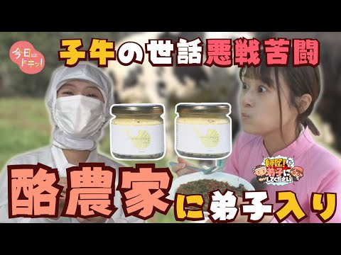 【#9】「師匠!私を弟子にしてください」清水町酪農家に弟子入り 子牛の世話に悪戦苦闘!?~後編~(10月28日放送)