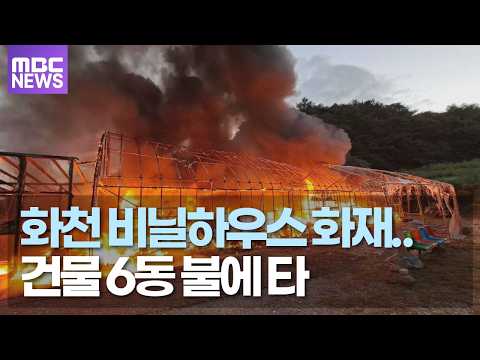 화천 비닐하우스 <strong>화재</strong>.. 건물 6동 불에 타