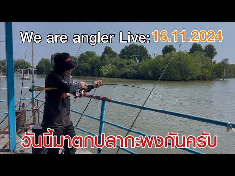 Weareanglerlive:ย้อนหลัง1