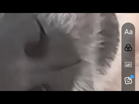 ハロウィン仮装の準備中〜!