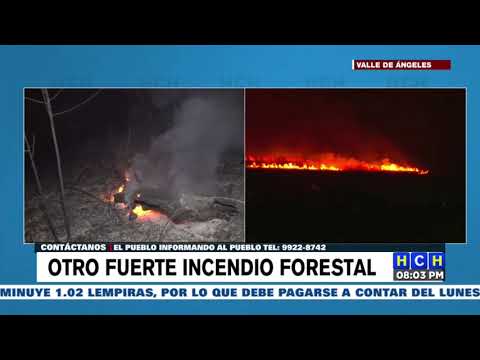 Fuerte incendio forestal consume hectáreas de bosque en Aldea Sabaneta en Valle de Ángeles