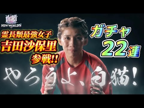 【白猫】吉田沙保里コラボ！？まさかの霊長類最強女子とのコラボきた！！！！