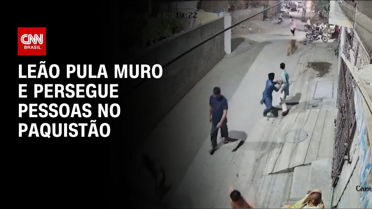 Leão persegue pessoas após escapar no Paquistão | BOLETIM CNN