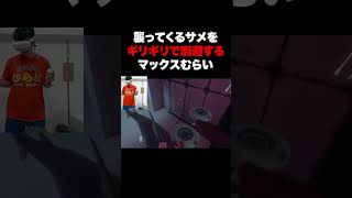 動画サムネイル
