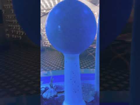 ٥ جمادى الأولى، ١٤٤٧ هـ