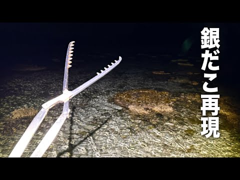 夜の潮干狩りでタコを獲って料理したら最高の「銀だこ」になった