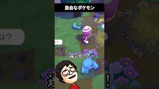 行動が自由すぎるカントー御三家 #shorts #ぽこあポケモン #vtuber #ゲーム実況