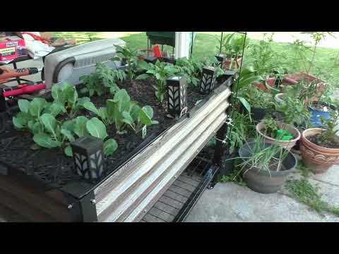 CHEF BOURQUE'S RAISED GARDEN BEDS BY VEIKOUS