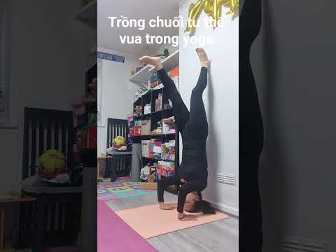 Tư thế vua trong yoga