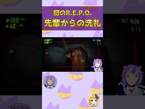 thumbnail_urL1lxWcbYU