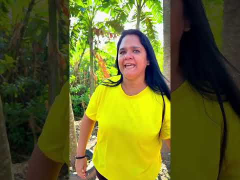 Qual dog e ? #humor #comedia #comedy