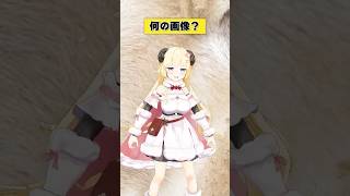 この画像なーんだ！【 #今日のわため 】 #shorts #hololive #vtuber