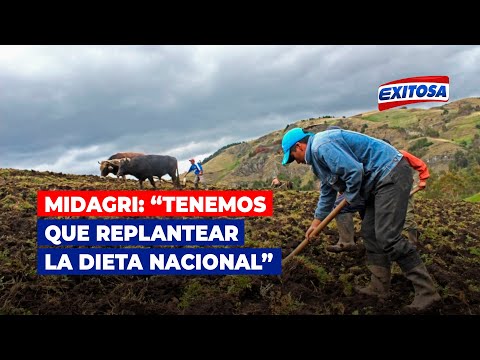 Carlos Lozada sobre eventual crisis alimentaria: Tenemos que replantear la dieta nacional