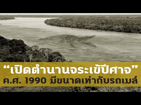 เปิดตำนาน-จระเข้ปีศาจ-แห่งแม่น เปิดตำนาน-จระเข้ปีศาจ-แห่งแม่น