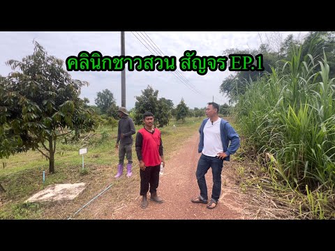 คลินิกชาวสวนสัญจรep.1สวนคุณ