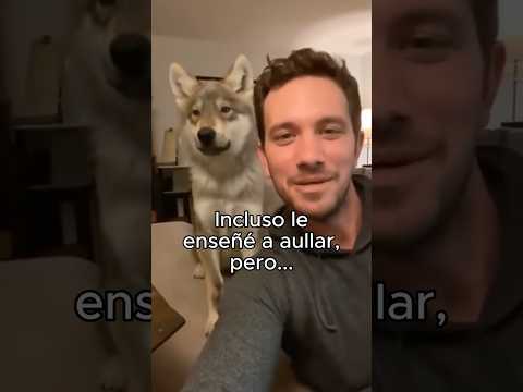 Mi Misión Es Encontrarlos❤️ #animales #animal #naturaleza #bonito