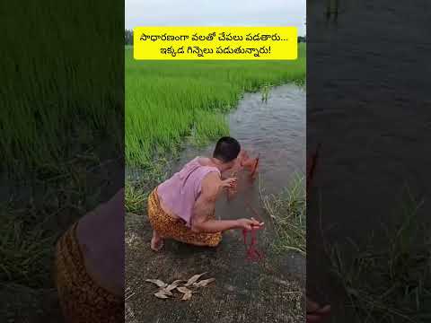 గిన్నెలు తోమడం బిగినర్ లెవెల్... వలతో పట్టుకోవడం ప్రో లెవెల్! 🚀🤪 #funny #comedy #trending #viral