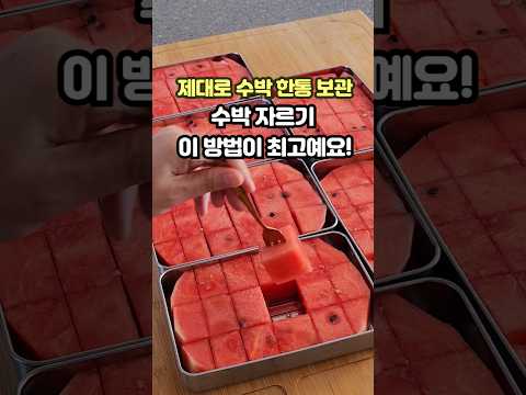 <strong>수박</strong> 자르기는 이 방법이 최고예요!   #<strong>수박</strong> #수박자르기 #수박보관