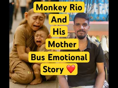 ग़रीब बंदर 🐒 Rio और उसकी मम्मी की एक बस 🚌 की इमोशनल story ❤️ #shorts #monkey  #emotional
