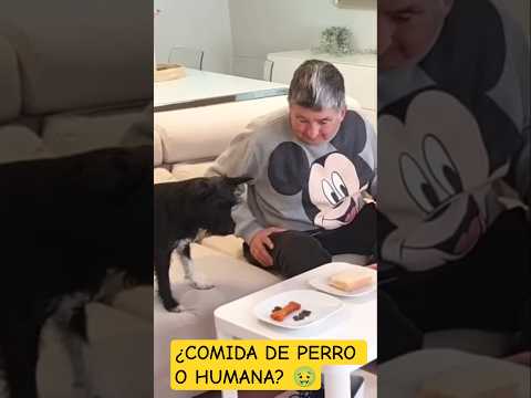 🙊 SúperAbu NO QUIERE COMIDA de PERRO 😅