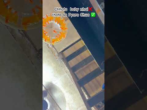 Chota baby nhai ❌ chota sa Pyaara Sa Chua ✅ Mudasir phatan ||#ytshorts #cute #cutebaby #trust