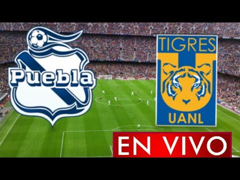Donde ver Puebla vs. Tigres en vivo, por la Jornada 10, Liga MX 2021