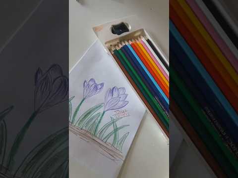 how to draw a cute flowers I flowers drawing with colour pencil ✏️  I Priya_hindu_108 I