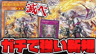 【遊戯王】 まさかの新規！汎用手札誘発でいきなり罠をぶっ放してくる！ 『教導の雷霆フルルドリス』 【ゆっくり解説】